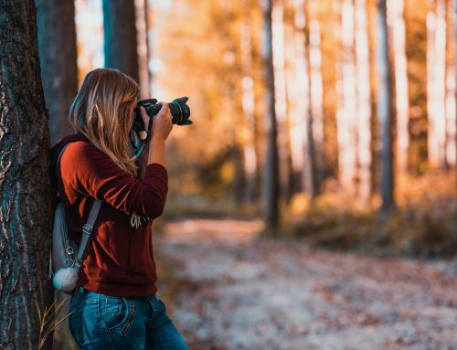 3 Top Tips for Budding Photographers