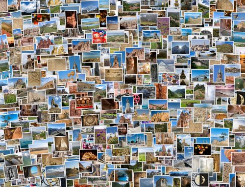 Using Metadata to Organize Digital Images